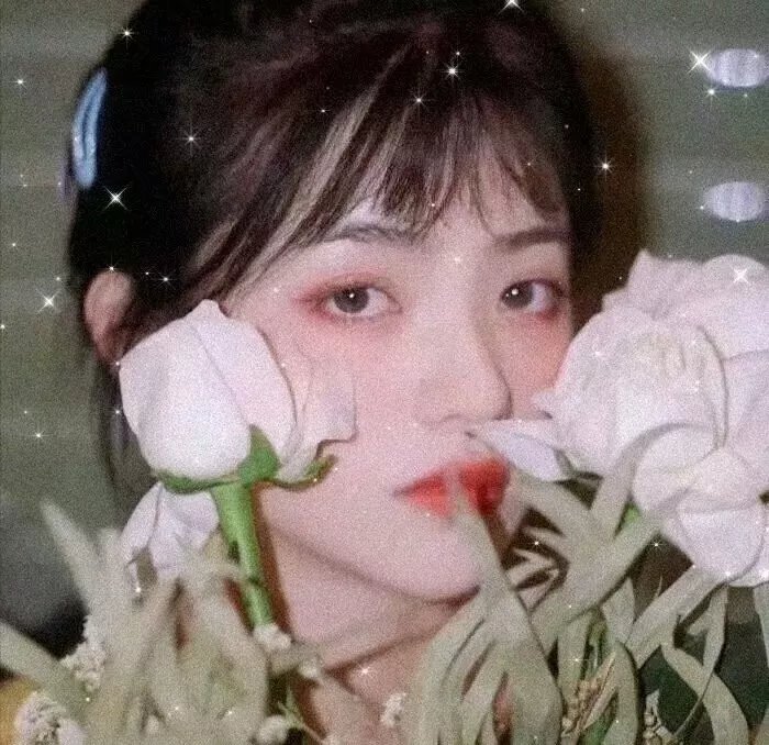 芙蓉楼