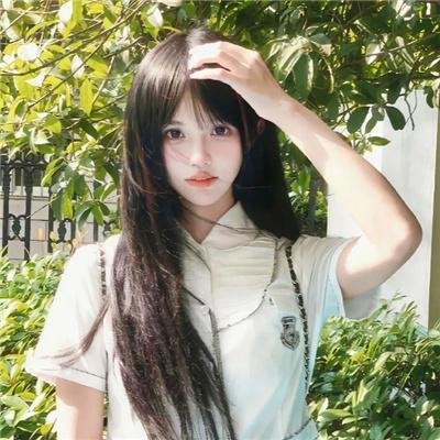 玫瑰继承人